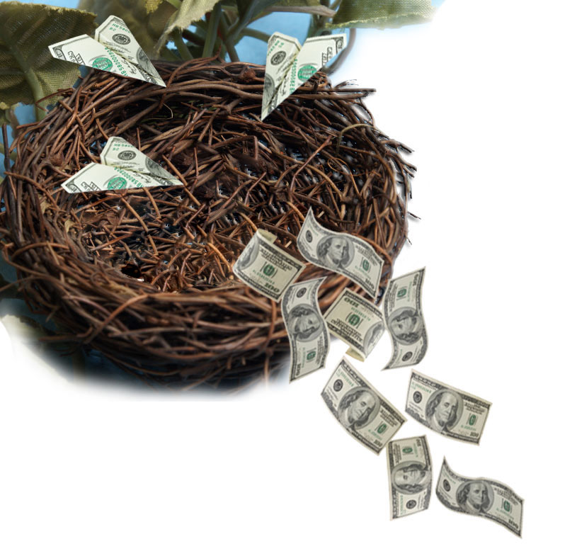 "Bird's nest with money flying into it and falling out of it"